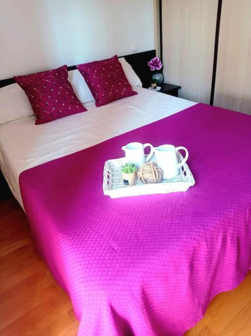 Acogedor Apartamento Con Piscina Y Garaje Apartment Huesca Ngoại thất bức ảnh